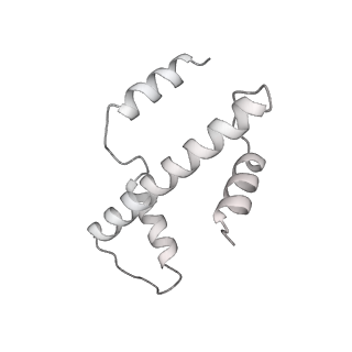 33441_7xt7_a_v1-0
RNA polymerase II elongation complex transcribing a nucleosome (EC49B)