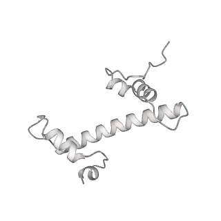 33441_7xt7_c_v1-0
RNA polymerase II elongation complex transcribing a nucleosome (EC49B)