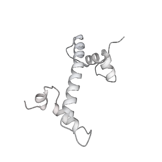 33441_7xt7_g_v1-0
RNA polymerase II elongation complex transcribing a nucleosome (EC49B)