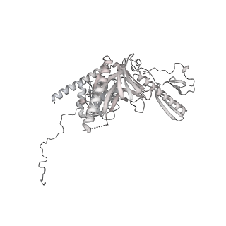 33441_7xt7_j_v1-0
RNA polymerase II elongation complex transcribing a nucleosome (EC49B)