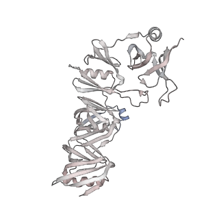 33441_7xt7_k_v1-0
RNA polymerase II elongation complex transcribing a nucleosome (EC49B)