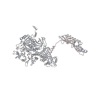 33441_7xt7_m_v1-0
RNA polymerase II elongation complex transcribing a nucleosome (EC49B)
