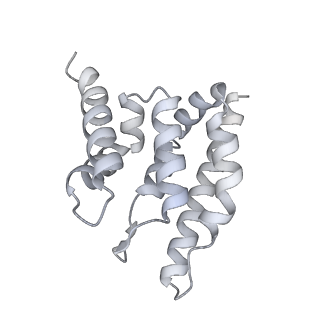 33441_7xt7_n_v1-0
RNA polymerase II elongation complex transcribing a nucleosome (EC49B)