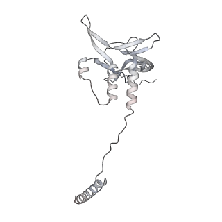 33441_7xt7_u_v1-0
RNA polymerase II elongation complex transcribing a nucleosome (EC49B)