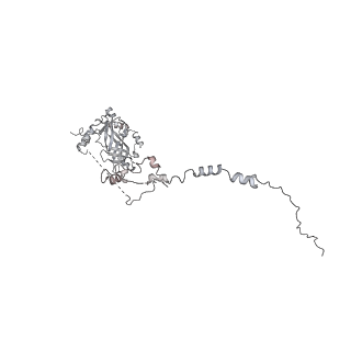33441_7xt7_v_v1-0
RNA polymerase II elongation complex transcribing a nucleosome (EC49B)