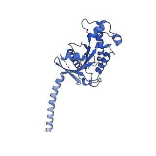 33442_7xt8_A_v1-1
Serotonin 4 (5-HT4) receptor-Gs-Nb35 complex