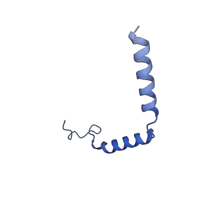 33442_7xt8_G_v1-1
Serotonin 4 (5-HT4) receptor-Gs-Nb35 complex