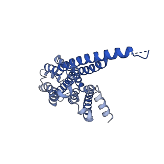 33442_7xt8_R_v1-1
Serotonin 4 (5-HT4) receptor-Gs-Nb35 complex