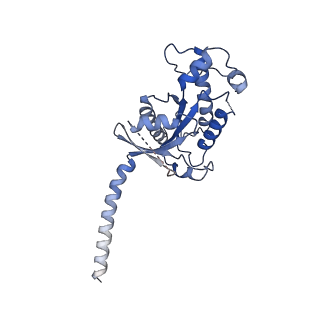 33443_7xt9_A_v1-1
Serotonin 4 (5-HT4) receptor-Gs complex