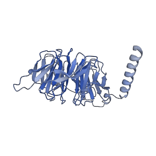 33443_7xt9_B_v1-1
Serotonin 4 (5-HT4) receptor-Gs complex