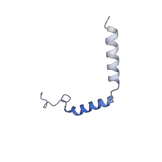 33443_7xt9_G_v1-1
Serotonin 4 (5-HT4) receptor-Gs complex