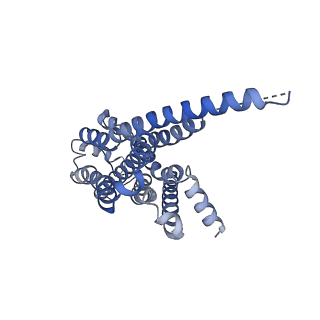 33443_7xt9_R_v1-1
Serotonin 4 (5-HT4) receptor-Gs complex