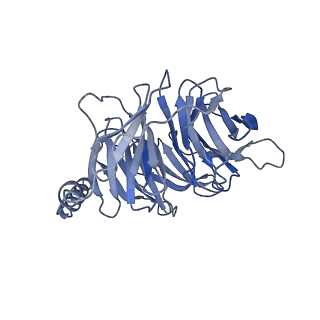33444_7xta_B_v1-1
Serotonin 4 (5-HT4) receptor-Gi-scFv16 complex