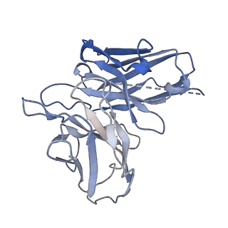 33444_7xta_E_v1-1
Serotonin 4 (5-HT4) receptor-Gi-scFv16 complex