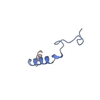 33444_7xta_G_v1-1
Serotonin 4 (5-HT4) receptor-Gi-scFv16 complex