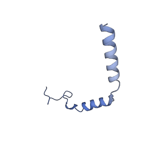 33445_7xtb_G_v1-1
Serotonin 6 (5-HT6) receptor-Gs-Nb35 complex