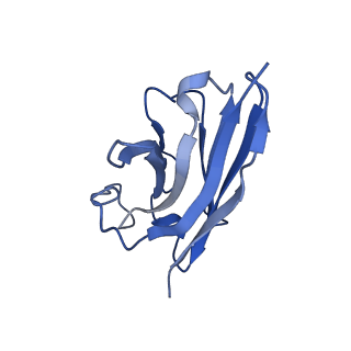 33445_7xtb_N_v1-1
Serotonin 6 (5-HT6) receptor-Gs-Nb35 complex