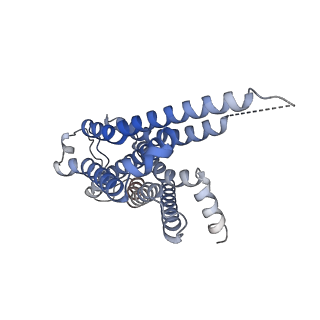 33445_7xtb_R_v1-1
Serotonin 6 (5-HT6) receptor-Gs-Nb35 complex