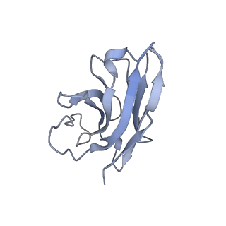 33446_7xtc_N_v1-1
Serotonin 7 (5-HT7) receptor-Gs-Nb35 complex