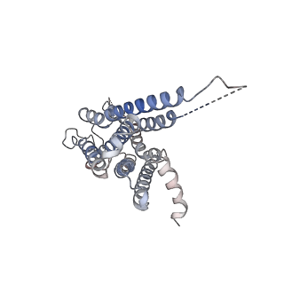 33446_7xtc_R_v1-1
Serotonin 7 (5-HT7) receptor-Gs-Nb35 complex