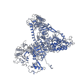 33447_7xtd_A_v1-2
RNA polymerase II elongation complex transcribing a nucleosome (EC58oct)