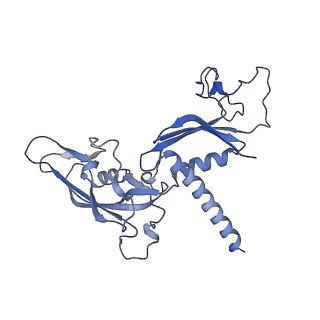33447_7xtd_C_v1-2
RNA polymerase II elongation complex transcribing a nucleosome (EC58oct)