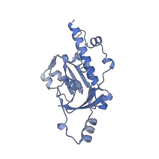 33447_7xtd_E_v1-2
RNA polymerase II elongation complex transcribing a nucleosome (EC58oct)