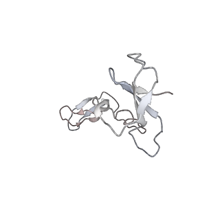 33447_7xtd_I_v1-2
RNA polymerase II elongation complex transcribing a nucleosome (EC58oct)