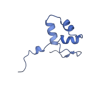 33447_7xtd_J_v1-2
RNA polymerase II elongation complex transcribing a nucleosome (EC58oct)