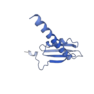 33447_7xtd_K_v1-2
RNA polymerase II elongation complex transcribing a nucleosome (EC58oct)