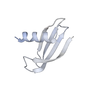 33447_7xtd_M_v1-2
RNA polymerase II elongation complex transcribing a nucleosome (EC58oct)