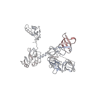 33447_7xtd_W_v1-2
RNA polymerase II elongation complex transcribing a nucleosome (EC58oct)