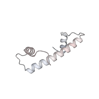 33447_7xtd_a_v1-2
RNA polymerase II elongation complex transcribing a nucleosome (EC58oct)