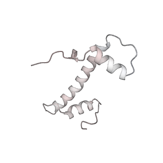 33447_7xtd_b_v1-2
RNA polymerase II elongation complex transcribing a nucleosome (EC58oct)