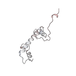 33447_7xtd_c_v1-2
RNA polymerase II elongation complex transcribing a nucleosome (EC58oct)