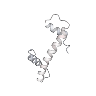 33447_7xtd_f_v1-2
RNA polymerase II elongation complex transcribing a nucleosome (EC58oct)