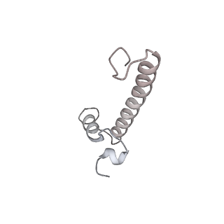 33447_7xtd_g_v1-2
RNA polymerase II elongation complex transcribing a nucleosome (EC58oct)