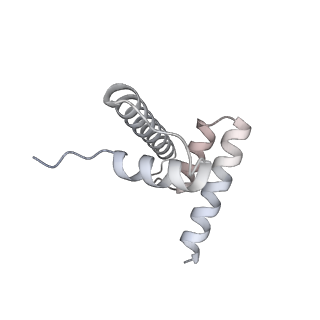 33447_7xtd_h_v1-2
RNA polymerase II elongation complex transcribing a nucleosome (EC58oct)
