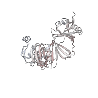 33447_7xtd_k_v1-2
RNA polymerase II elongation complex transcribing a nucleosome (EC58oct)