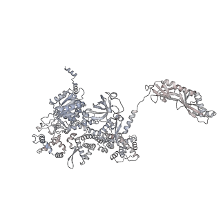 33447_7xtd_m_v1-2
RNA polymerase II elongation complex transcribing a nucleosome (EC58oct)