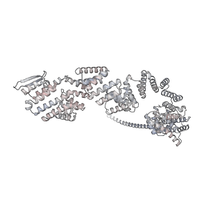 33447_7xtd_q_v1-2
RNA polymerase II elongation complex transcribing a nucleosome (EC58oct)