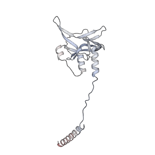 33447_7xtd_u_v1-2
RNA polymerase II elongation complex transcribing a nucleosome (EC58oct)