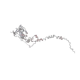 33447_7xtd_v_v1-2
RNA polymerase II elongation complex transcribing a nucleosome (EC58oct)