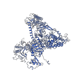 33450_7xti_A_v1-0
RNA polymerase II elongation complex transcribing a nucleosome (EC58hex)