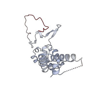 33450_7xti_D_v1-0
RNA polymerase II elongation complex transcribing a nucleosome (EC58hex)