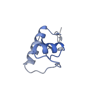33450_7xti_F_v1-0
RNA polymerase II elongation complex transcribing a nucleosome (EC58hex)