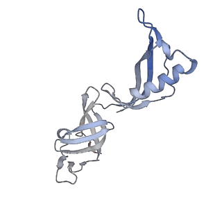 33450_7xti_G_v1-0
RNA polymerase II elongation complex transcribing a nucleosome (EC58hex)