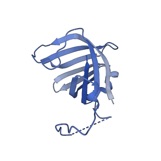 33450_7xti_H_v1-0
RNA polymerase II elongation complex transcribing a nucleosome (EC58hex)