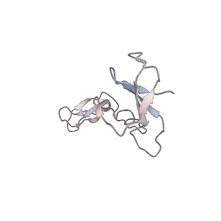 33450_7xti_I_v1-0
RNA polymerase II elongation complex transcribing a nucleosome (EC58hex)