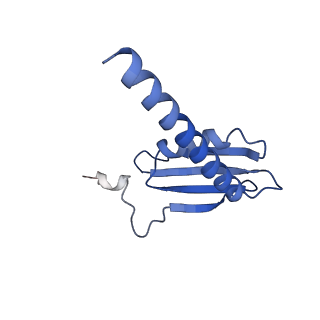 33450_7xti_K_v1-0
RNA polymerase II elongation complex transcribing a nucleosome (EC58hex)